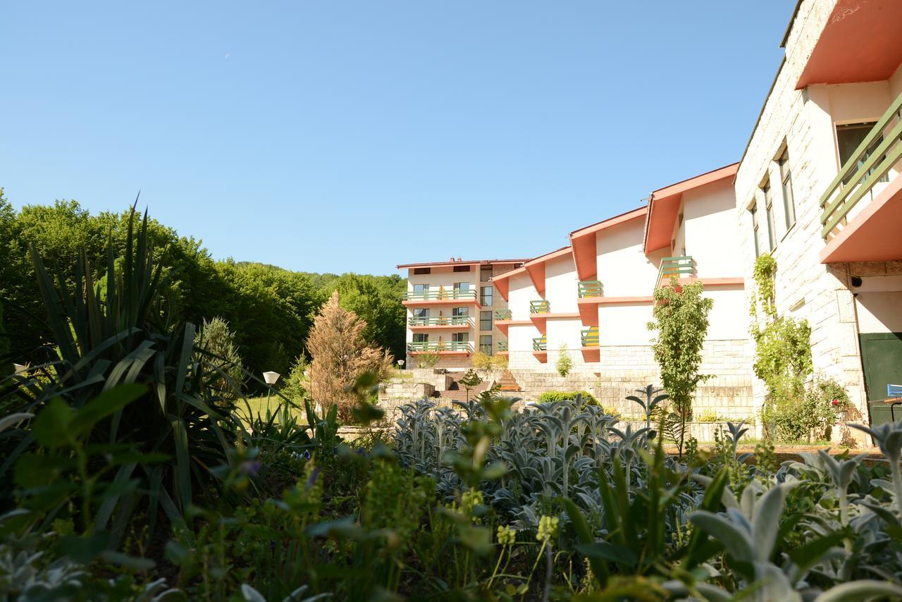 Park Hotel Ribaritsa Exterior photo